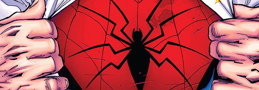 ppspiderbanner